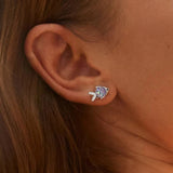 Happy Tropical Little Fish Earring