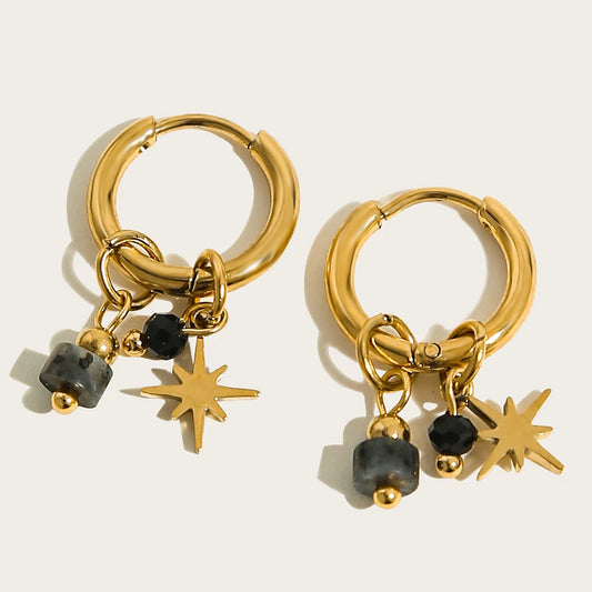 Stainless Steel Stone Charms Hoop Earrings