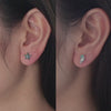 Blue Starfish Stud Earrings